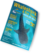 Kings Ningaloo Reef Tours Brochure