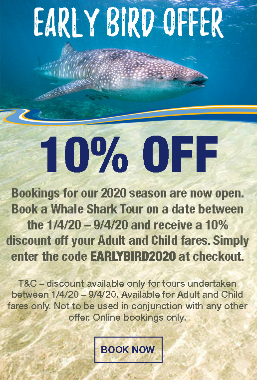 kings ningaloo reef tours