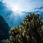 reef-safe australia